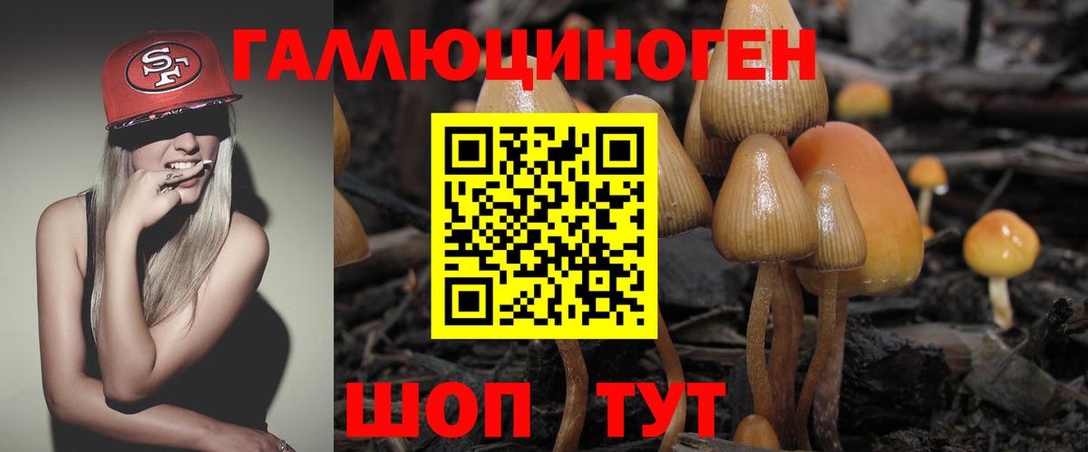 Орёл  Галлюциногенные грибы GOLDEN TEACHER  Вход с VPN 